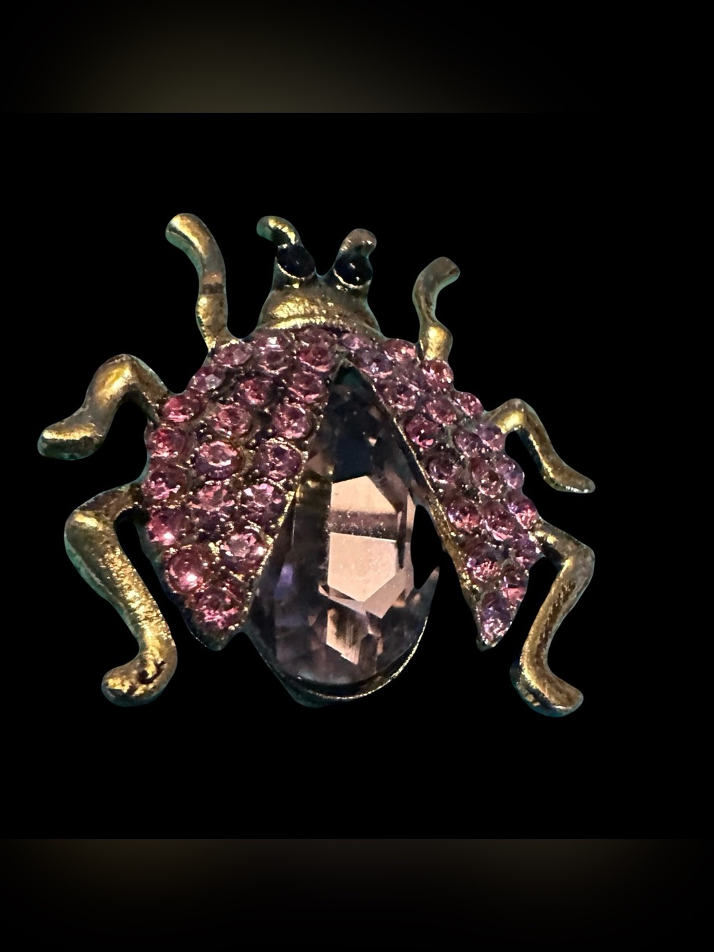 Gorgeous Purple Crystal Beetle Brooch